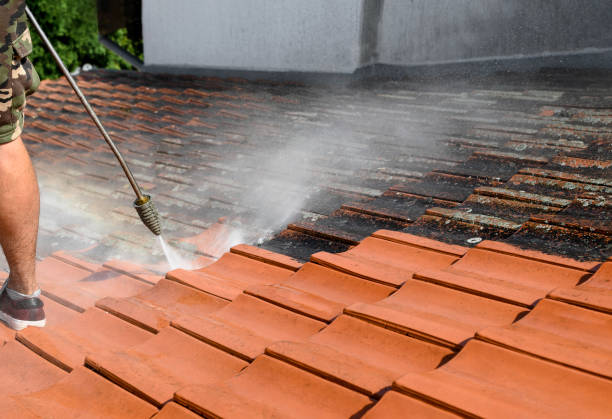Best House Pressure Washing  in Salado, TX